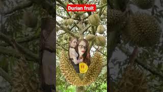 DURIAN FRUIT ANG DAMING BUNGA | #DURIANFRUIT #TREND #VIRALFRUIT #shorts @bethvergara