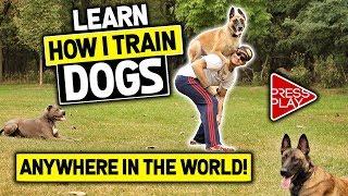 MasterPaw Course | Dog Training System | Dog Training Tips | Dog Training Course | Train Dogs