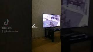 PlayZone FunHouseVR