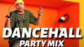 Dancehall Party Mix 2024 | Shabba Ranks, Busy Signal, Charly Black, Spice, Sean Paul |Tina's Mixtape