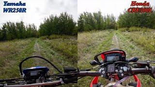 WR250R vs CRF300L - Woods riding shootout