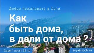 Снять квартиру жилье в Сочи посуточно недорого у моря без посредников в центральном районе от хозяин