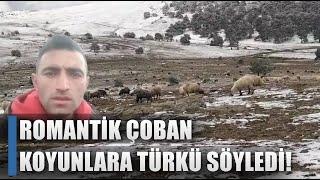 Romantik Çoban Kar Yağışı Altında Koyun Sürüsüne Şarkı Söyledi! / AGRO TV HABER