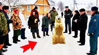 A polar bear came into the village and begged for help. People did not understand what to do!