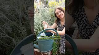 Liquid gold for your plants!
