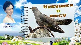 Кукушка в лесу