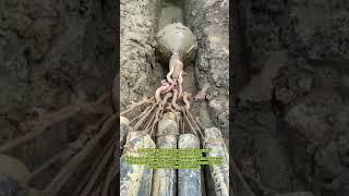 Non-Open Trenchless Horizontal Directional Drilling