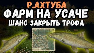 РАЗДАЧА УСАЧЕЙ КОРОТКОГОЛОВЫХ (фарм) /р.Ахтуба ● Русская Рыбалка 4 | РР4