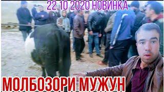 22 10 2020 молбозори Мужун Срочно бинетон барои заказхои шумо.