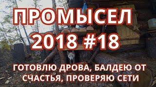 ПРОМЫСЕЛ  #18. Дрова, сети,  счастье. Подкрадываюсь к глухарю.