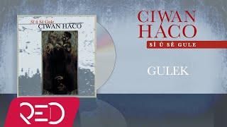 Ciwan Haco - Gulek【Remastered】 (Official Audio)