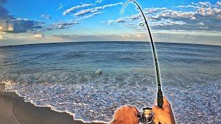 All Day Surfcasting for KEEPER Bites!!!