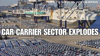 Car Carrier Sector Explodes | Fleet Poised to Expand 40% | 10,000+ Car Carrying Capacity Ships