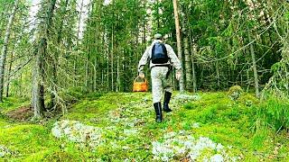 СЛАБОНЕРВНЫМ НЕ СМОТРЕТЬ! ГРИБНИК ЗАШЁЛ В ЛЕС НАШЁЛ ГРИБНОЙ РАЙ! СОБРАЛ И ПРИГОТОВИЛ ГРИБЫ 2024