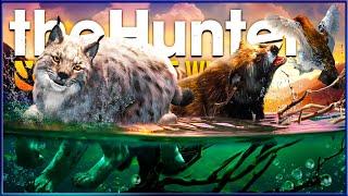 I Hunted Revontuli Coast for a WHOLE WEEK & This is What I Found! - the Hunter Call of the Wild