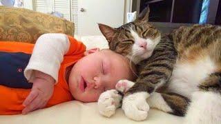 When your cat is the best babysitter ️ Cute cats and little human