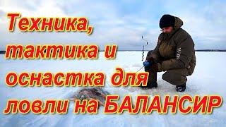 Техника, тактика, оснастка для ловли на балансир. Рыбалка и балансир. Ловим окуня на балансир зимой.