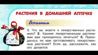 Окружающий мир 2 класс ч.2, Перспектива, с.28-31, тема урока "Растения в домашней аптечке"