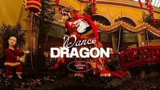 30 Dragon Dance Lightroom Presets Desktop & Mobile for Vibrant Chinese New Year Photos