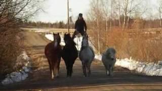 Parelli Natural Horse Training - 16-year-old Lina from Sweden