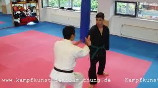 Hannover Hapkido Aikido Demo [Kampfkunstzentrum-Chung] 합기도 아이키도 트레일러[독일하노버도장-청]