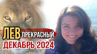 Лев ️ Декабрь 2024. Гороскоп Карьеры, Популярности и Выступлений.