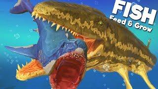 *NEW* PREHISTORIC PROGNATHODON IS THE ULTIMATE PREDATOR! | Feed and Grow Fish