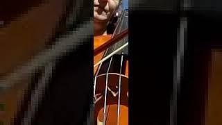 1.4sec of 1000FPS Cello C string vibration