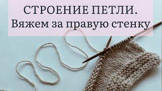 Урок 5. Строение петли. Вяжем спицами за правую стенку. Уроки вязания для новичков. Уровень 0/5