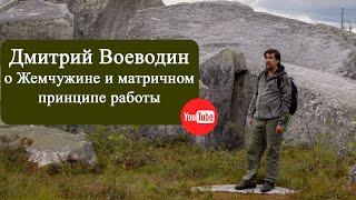 Дмитрий Воеводин о Жемчужине, матрицах и космознаках (фрагмент встречи от 02.09.2022)