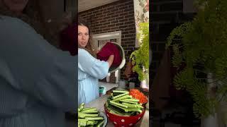 Легкий и вкусный салатик от Петровчанки Леры #garden #жизньзагородом #рецепты #огород #shorts