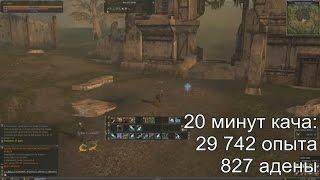 Где качаться мили в Lineage 2 Classic? Топ спот 20-24 уровень.