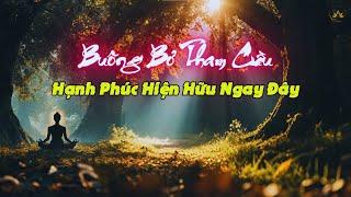 Buông Bỏ Tham Cầu – Hạnh Phúc Hiện Hữu Ngay Đây