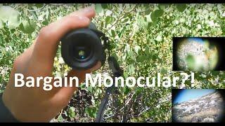 Bijia Monocular Review: Great for Hiking!