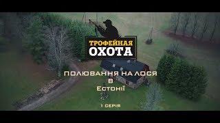 Охота на Лося в Эстонии. Часть 1 | Трофейная охота №43