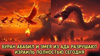 Необычное явление‼️ Птицы Абабиль и змеи появились в Израиле и уничтожили весь город...