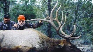 Nevada Rifle Elk Hunt - Ray Fragulia - MossBack
