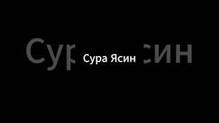 Сура Ясин  #ислам #сура #рекомендации