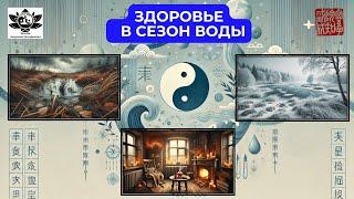 Здоровье в сезон воды. Ноябрь, Декабрь, Январь. Запись прямого эфира