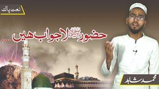Naat||Huzur Lajawab Hen||Safa online TV