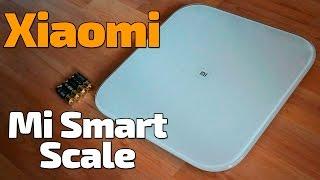 Обзор умных весов Xiaomi Mi Smart Scale