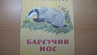 Константин Паустовский. Барсучий нос.