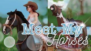 Meet my Horses || SSO RRP