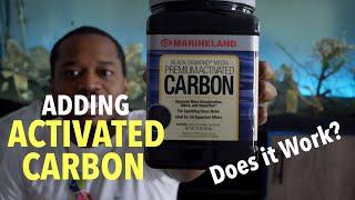 Activated Carbon | Does it work in your Aquarium?