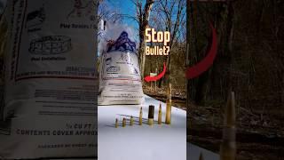 Sand Vs Bullets (50 BMG!) *Test*
