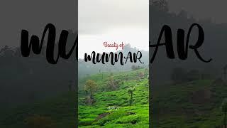 Beauty of Munnar Kerala ️️ #incredibleindia #kalaburagi #gulbarga #karnataka #kannadiga