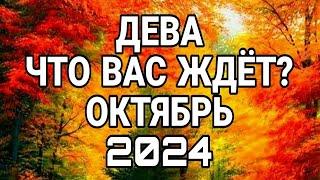 ДЕВА ОКТЯБРЬ ЧТО ВАМ НУЖНО ЗНАТЬ ПРЯМО СЕЙЧАС ЧТО ВАС ЖДЁТ ПРОГНОЗ НА ОКТЯБРЬ 2024