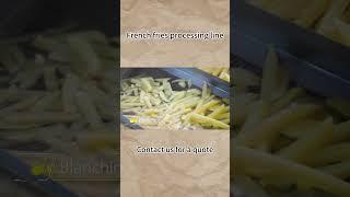 Frozen French Fries Processing Line