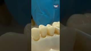 Will re-growing your teeth soon be possible?  