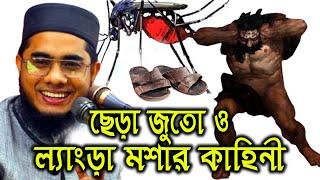 Mahmudabadi | mahmudabadi waz। mahmudabadi Bangla waz | Mufti Shahidur Rahman Mahmudabadi  | HR Tube